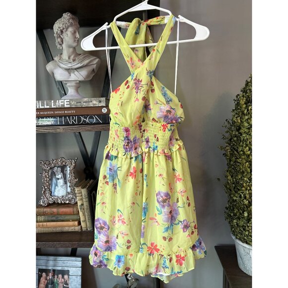 Rays for Days Louise Chiffon Mini Dress Love Bird Floral Womens Size Small - Picture 4 of 9